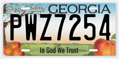 GA license plate PWZ7254