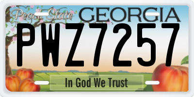 GA license plate PWZ7257