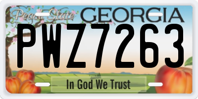 GA license plate PWZ7263