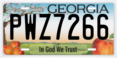 GA license plate PWZ7266