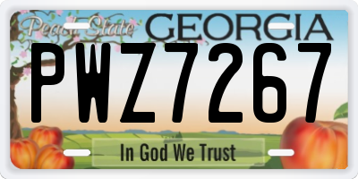 GA license plate PWZ7267