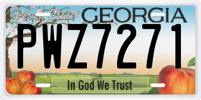 GA license plate PWZ7271