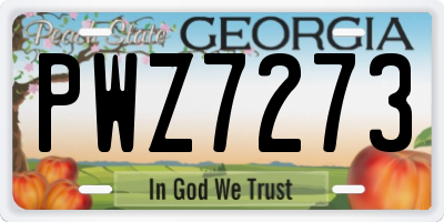 GA license plate PWZ7273