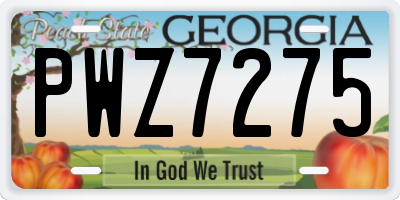 GA license plate PWZ7275