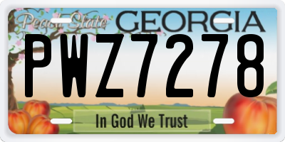 GA license plate PWZ7278