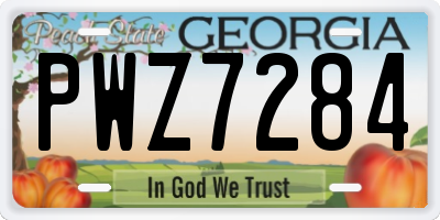 GA license plate PWZ7284
