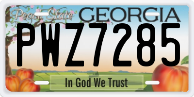 GA license plate PWZ7285