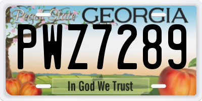 GA license plate PWZ7289