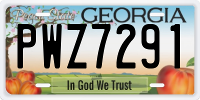 GA license plate PWZ7291