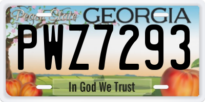 GA license plate PWZ7293