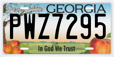 GA license plate PWZ7295