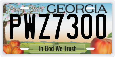 GA license plate PWZ7300