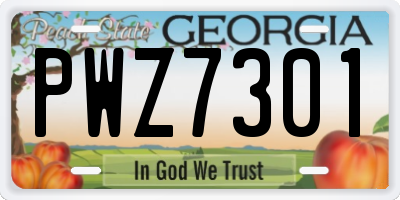 GA license plate PWZ7301