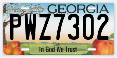 GA license plate PWZ7302
