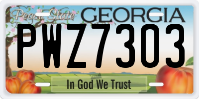 GA license plate PWZ7303