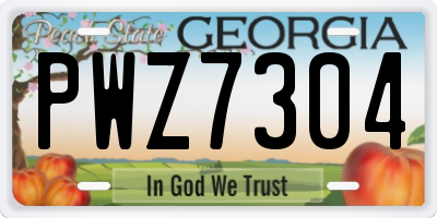 GA license plate PWZ7304