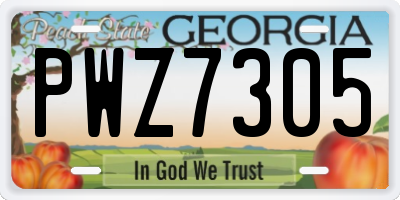 GA license plate PWZ7305