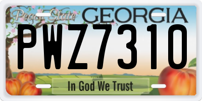 GA license plate PWZ7310