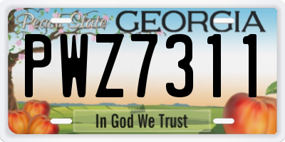 GA license plate PWZ7311