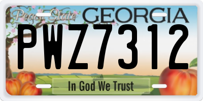 GA license plate PWZ7312