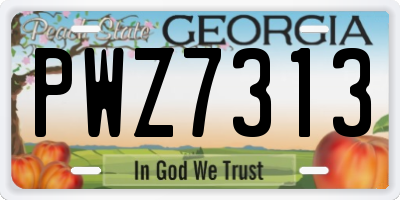 GA license plate PWZ7313