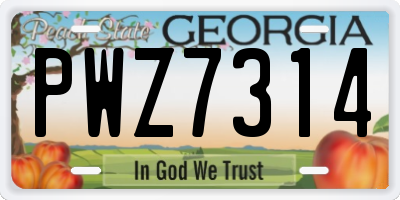 GA license plate PWZ7314