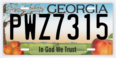 GA license plate PWZ7315