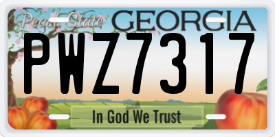 GA license plate PWZ7317