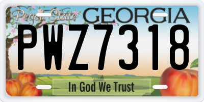 GA license plate PWZ7318