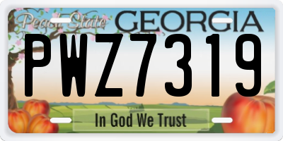 GA license plate PWZ7319