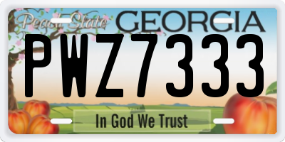 GA license plate PWZ7333