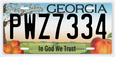 GA license plate PWZ7334