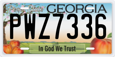 GA license plate PWZ7336