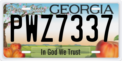 GA license plate PWZ7337