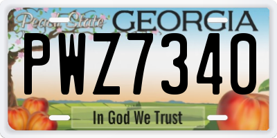 GA license plate PWZ7340