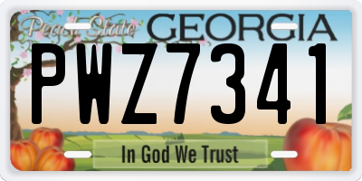 GA license plate PWZ7341
