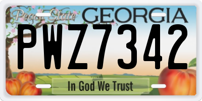 GA license plate PWZ7342
