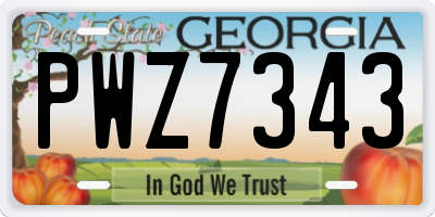 GA license plate PWZ7343