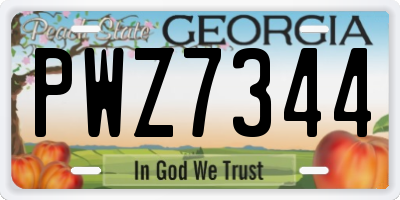GA license plate PWZ7344