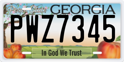 GA license plate PWZ7345