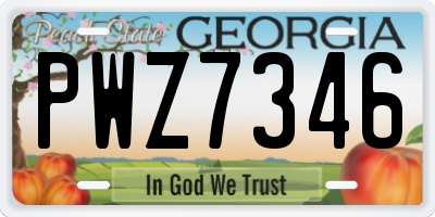 GA license plate PWZ7346