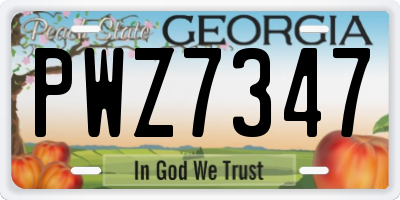 GA license plate PWZ7347