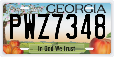 GA license plate PWZ7348