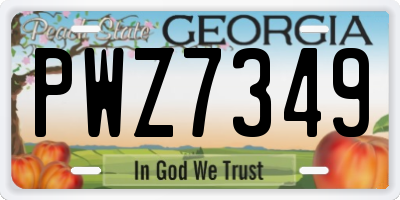 GA license plate PWZ7349