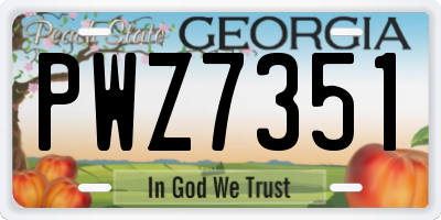 GA license plate PWZ7351