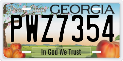 GA license plate PWZ7354