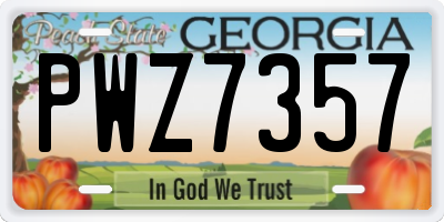 GA license plate PWZ7357