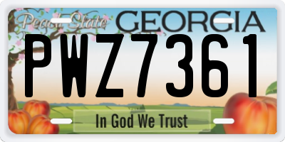 GA license plate PWZ7361