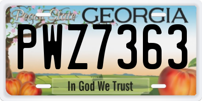 GA license plate PWZ7363