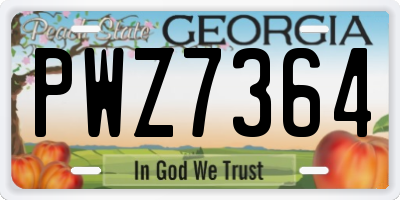 GA license plate PWZ7364